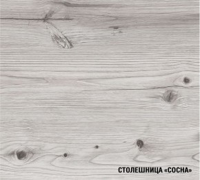 АСАЯ Кухонный гарнитур Экстра 2 (3000 мм) ПМ в Нефтекамске - neftekamsk.ok-mebel.com | фото 8