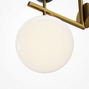 Бра Maytoni Museo MOD436WL-01BS в Нефтекамске - neftekamsk.ok-mebel.com | фото 6