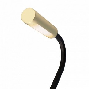 Бра Maytoni Stem C035WL-L3MG3K в Нефтекамске - neftekamsk.ok-mebel.com | фото 6