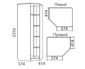 Детская Фанк Шкаф угловой Левый/Правый НМ 013.04-02 М в Нефтекамске - neftekamsk.ok-mebel.com | фото 3