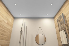 DK2036-WH Встраиваемый светильник влагозащ., IP 44, до 15 Вт, GU10, LED, белый, алюминий в Нефтекамске - neftekamsk.ok-mebel.com | фото 5