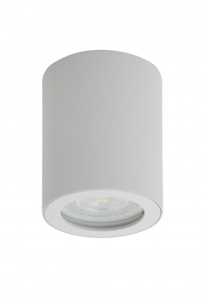 DK3007-WH Накладной светильник влагозащ., IP 44, 15 Вт, GU10, белый, алюминий в Нефтекамске - neftekamsk.ok-mebel.com | фото