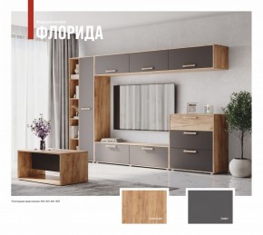 ФЛОРИДА Гостиная (модульная) дуб золотой/графит в Нефтекамске - neftekamsk.ok-mebel.com | фото