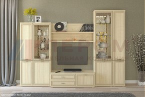 Гостиная Карина Композиция 24 (Ясень Асахи) в Нефтекамске - neftekamsk.ok-mebel.com | фото