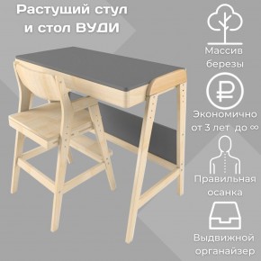 Комплект растущий стол и стул 38 попугаев «Вуди» (Серый, Без покрытия) в Нефтекамске - neftekamsk.ok-mebel.com | фото