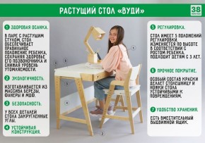 Комплект растущий стол и стул с чехлом 38 попугаев «Вуди» (Белый, Береза, Монстры) в Нефтекамске - neftekamsk.ok-mebel.com | фото