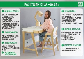 Комплект растущий стол и стул с чехлом 38 попугаев «Вуди» (Белый, Береза, Ромбы) в Нефтекамске - neftekamsk.ok-mebel.com | фото 2