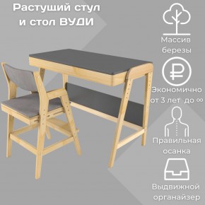 Комплект растущий стол и стул с чехлом 38 попугаев «Вуди» (Серый, Без покрытия, Серый) в Нефтекамске - neftekamsk.ok-mebel.com | фото