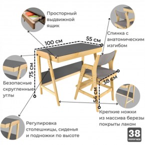 Комплект растущий стол и стул с чехлом 38 попугаев «Вуди» (Серый, Без покрытия, Серый) в Нефтекамске - neftekamsk.ok-mebel.com | фото 3