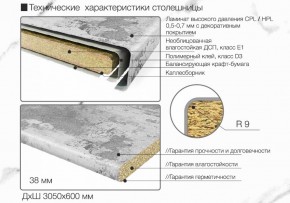 Кухонный фартук со столешницей (А-010) в едином стиле (3050 мм) в Нефтекамске - neftekamsk.ok-mebel.com | фото 7