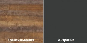 Кухонный гарнитур угловой Трансильвания 2600х1600 мм (Стол. 38 мм) в Нефтекамске - neftekamsk.ok-mebel.com | фото 3