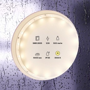 Лента светодиодная Maytoni Led strip 10105 в Нефтекамске - neftekamsk.ok-mebel.com | фото 2