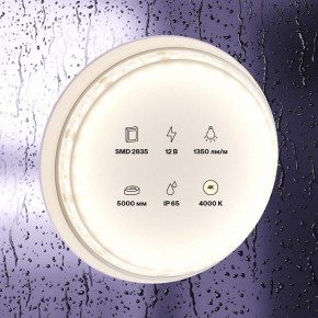 Лента светодиодная Maytoni Led strip 10118 в Нефтекамске - neftekamsk.ok-mebel.com | фото 2