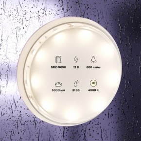 Лента светодиодная Maytoni Led strip 10124 в Нефтекамске - neftekamsk.ok-mebel.com | фото 2