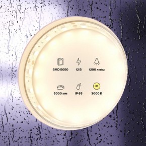 Лента светодиодная Maytoni Led strip 10131 в Нефтекамске - neftekamsk.ok-mebel.com | фото 2