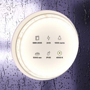 Лента светодиодная Maytoni Led strip 10146 в Нефтекамске - neftekamsk.ok-mebel.com | фото 3
