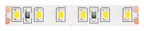 Лента светодиодная Maytoni Led strip 10149 в Нефтекамске - neftekamsk.ok-mebel.com | фото