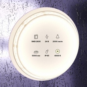 Лента светодиодная Maytoni Led strip 10158 в Нефтекамске - neftekamsk.ok-mebel.com | фото 2