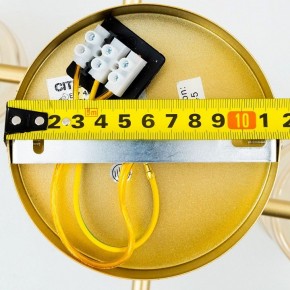 Люстра на штанге Citilux Клод CL137182 в Нефтекамске - neftekamsk.ok-mebel.com | фото 16
