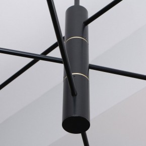 Люстра на штанге Favourite Imma 4375-6P в Нефтекамске - neftekamsk.ok-mebel.com | фото 2