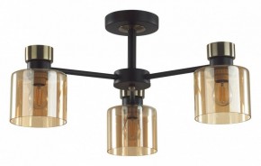 Люстра на штанге Lumion ARLIN 5643/3C в Нефтекамске - neftekamsk.ok-mebel.com | фото