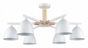 Люстра на штанге Lumion Colange 8095/6C в Нефтекамске - neftekamsk.ok-mebel.com | фото