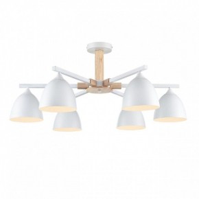 Люстра на штанге Lumion Colange 8095/6C в Нефтекамске - neftekamsk.ok-mebel.com | фото 2