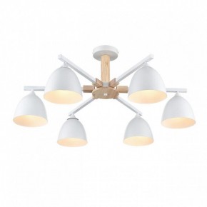 Люстра на штанге Lumion Colange 8095/6C в Нефтекамске - neftekamsk.ok-mebel.com | фото 3