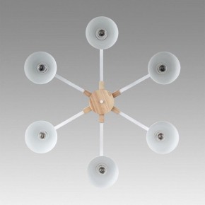 Люстра на штанге Lumion Colange 8095/6C в Нефтекамске - neftekamsk.ok-mebel.com | фото 4