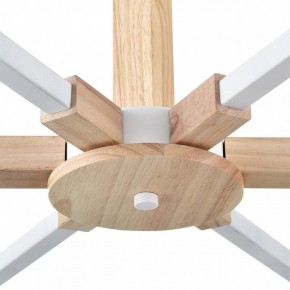 Люстра на штанге Lumion Colange 8095/6C в Нефтекамске - neftekamsk.ok-mebel.com | фото 7