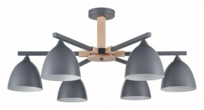 Люстра на штанге Lumion Colange 8096/6C в Нефтекамске - neftekamsk.ok-mebel.com | фото