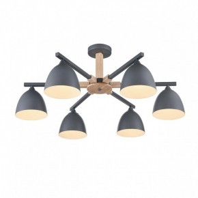 Люстра на штанге Lumion Colange 8096/6C в Нефтекамске - neftekamsk.ok-mebel.com | фото 3