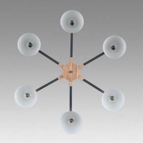 Люстра на штанге Lumion Colange 8096/6C в Нефтекамске - neftekamsk.ok-mebel.com | фото 4