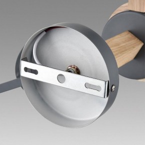 Люстра на штанге Lumion Colange 8096/6C в Нефтекамске - neftekamsk.ok-mebel.com | фото 6