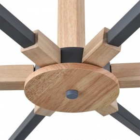 Люстра на штанге Lumion Colange 8096/6C в Нефтекамске - neftekamsk.ok-mebel.com | фото 7
