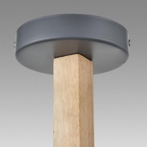 Люстра на штанге Lumion Colange 8096/6C в Нефтекамске - neftekamsk.ok-mebel.com | фото 9
