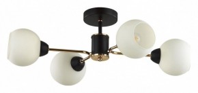 Люстра на штанге Lumion KODI 5646/4C в Нефтекамске - neftekamsk.ok-mebel.com | фото