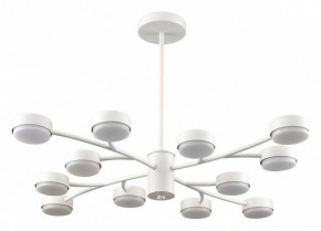 Люстра на штанге Lumion TORINA 8265/12 в Нефтекамске - neftekamsk.ok-mebel.com | фото