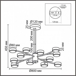 Люстра на штанге Lumion TORINA 8265/12 в Нефтекамске - neftekamsk.ok-mebel.com | фото 6