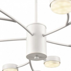 Люстра на штанге Lumion TORINA 8265/15 в Нефтекамске - neftekamsk.ok-mebel.com | фото 8