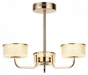 Люстра на штанге Lumion Venice 6579/40CL в Нефтекамске - neftekamsk.ok-mebel.com | фото 5