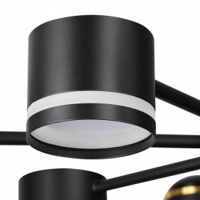 Люстра на штанге Lumion Virsava 8234/8C в Нефтекамске - neftekamsk.ok-mebel.com | фото 8
