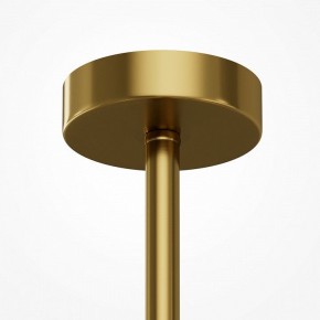 Люстра на штанге Maytoni Museo MOD436PL-05BS в Нефтекамске - neftekamsk.ok-mebel.com | фото 6
