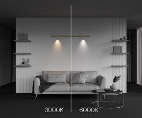 Модульный светильник Maytoni Focus LED C102CL-3W3-6K-BS в Нефтекамске - neftekamsk.ok-mebel.com | фото 4
