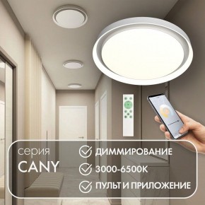 Накладной светильник Denkirs Cany DK6516-WH в Нефтекамске - neftekamsk.ok-mebel.com | фото 4