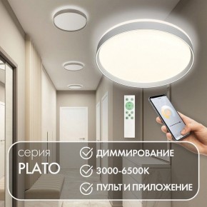 Накладной светильник Denkirs PLATO DK6511-WH/1 в Нефтекамске - neftekamsk.ok-mebel.com | фото 4