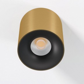 Накладной светильник Elektrostandard Primo 25116/LED в Нефтекамске - neftekamsk.ok-mebel.com | фото