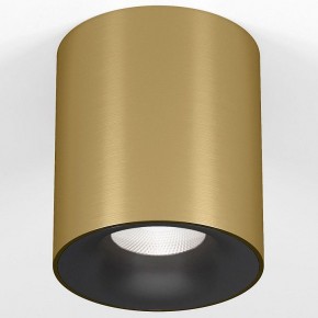 Накладной светильник Elektrostandard Primo 25116/LED в Нефтекамске - neftekamsk.ok-mebel.com | фото 2