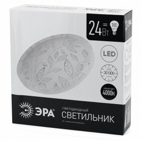 Накладной светильник Эра Классик SPB-6-24-4K (C) в Нефтекамске - neftekamsk.ok-mebel.com | фото 4