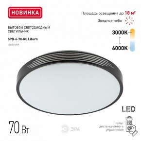 Накладной светильник Эра Классик SPB-6-70-RC Liburn в Нефтекамске - neftekamsk.ok-mebel.com | фото 10